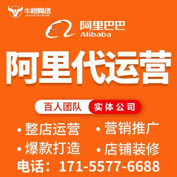 六安电商代运营