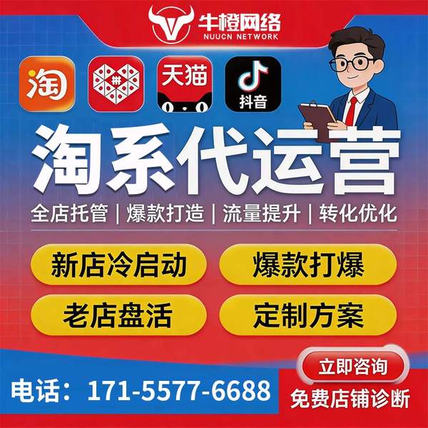 六安电商代运营