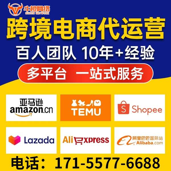 六安电商代运营