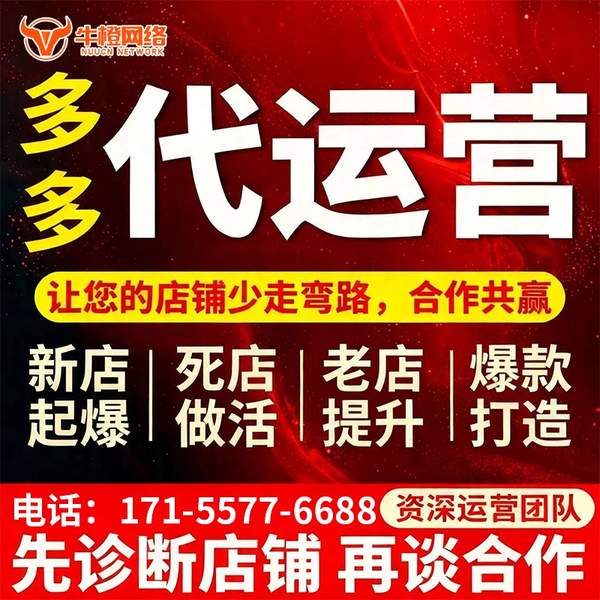 六安电商代运营