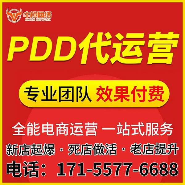 六安电商代运营