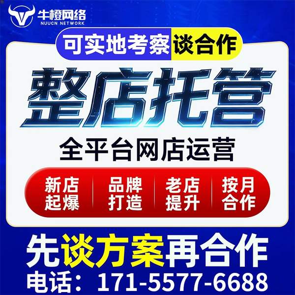 六安电商代运营