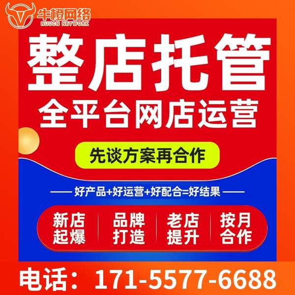 六安电商代运营