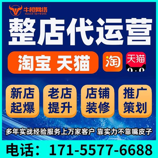 六安电商代运营