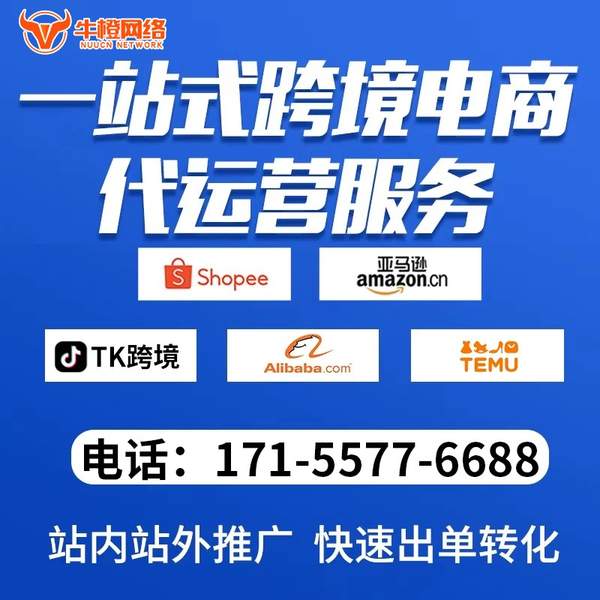 六安电商代运营