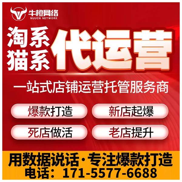 六安电商代运营